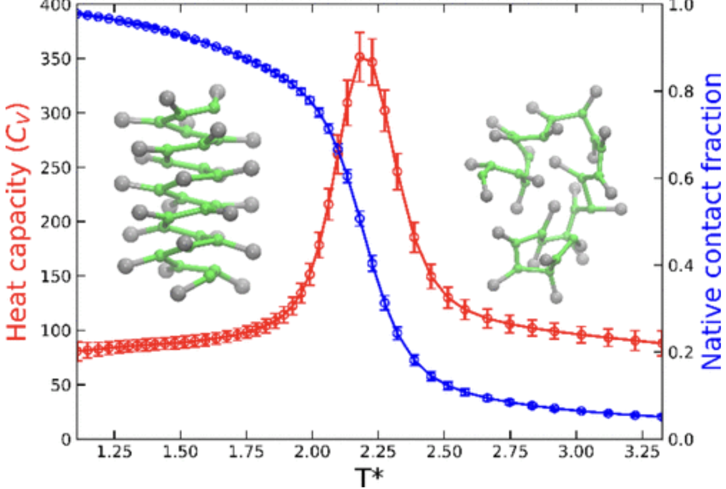 Heat capacity and native contact fraction curves with polymer conformations